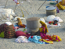 Linge à la rivière Yamuna - Agra - Inde